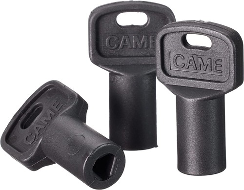 Came 119riy077 chiave - came,
